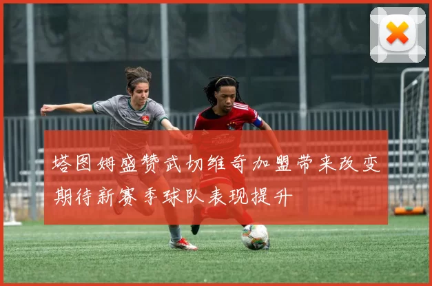 塔图姆盛赞武切维奇加盟带来改变期待新赛季球队表现提升